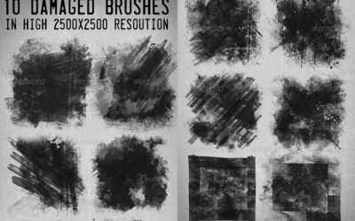 10 Damaged Brushes