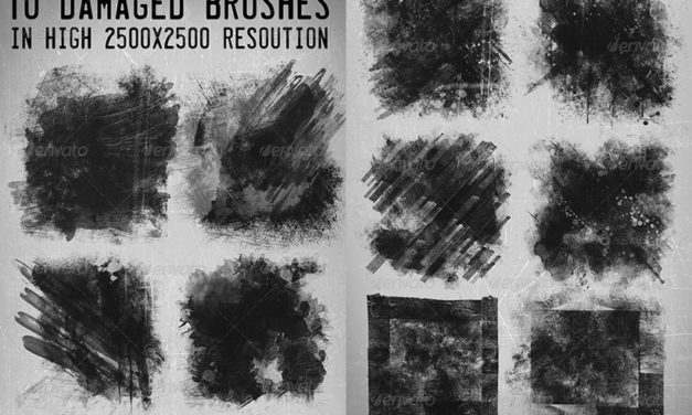 10 Damaged Brushes